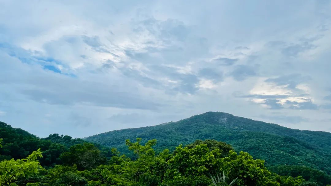 1632475047121067.jpg 1.jpg