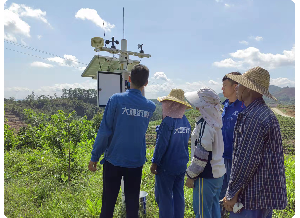 1656639419132333.png 未標題-71.png