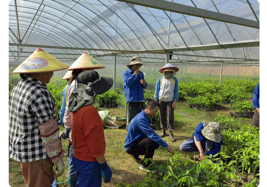 1656639446203637.png 未標題-7.png