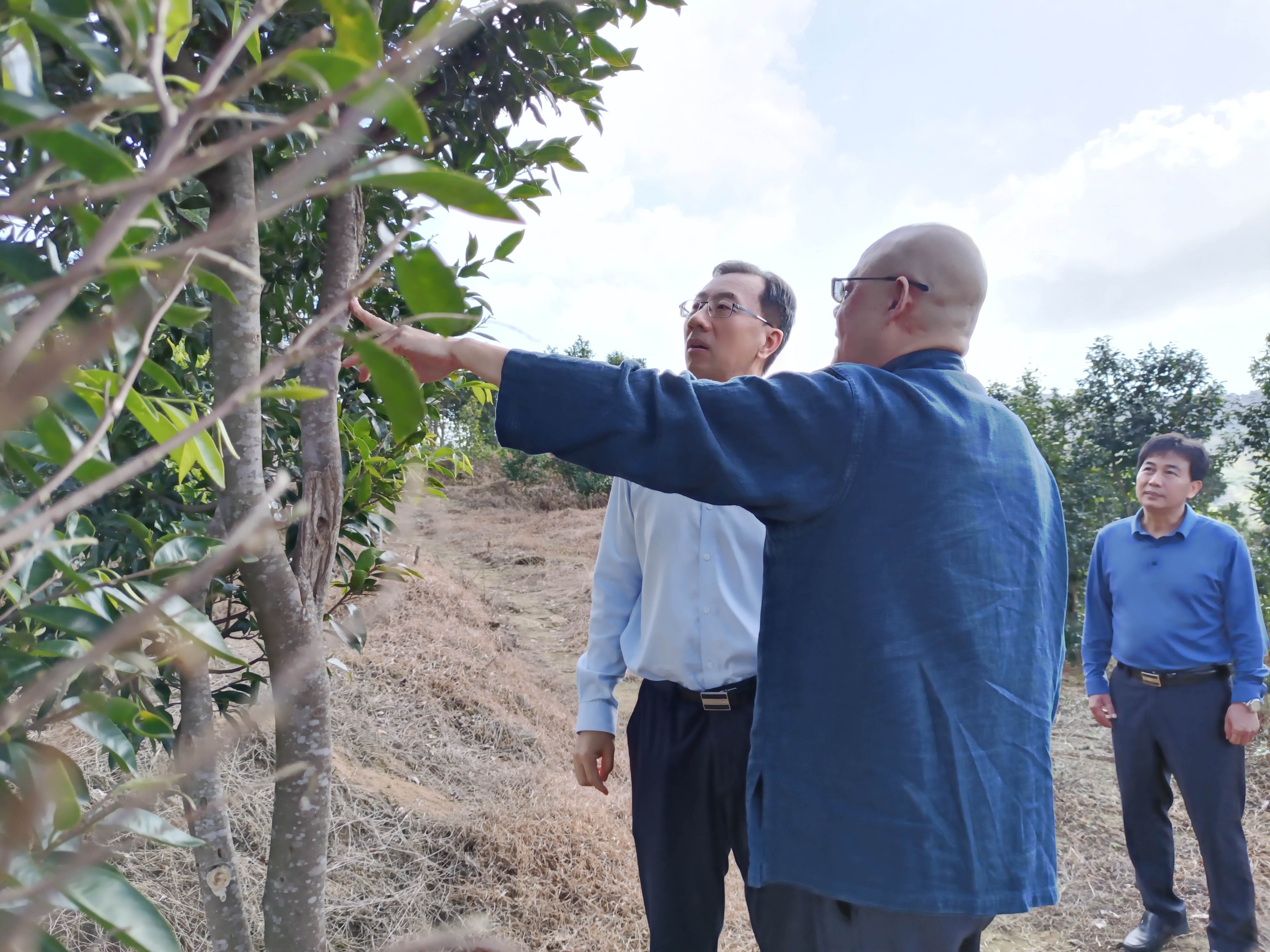 1705886073493406.jpg 1705886073493406.jpg