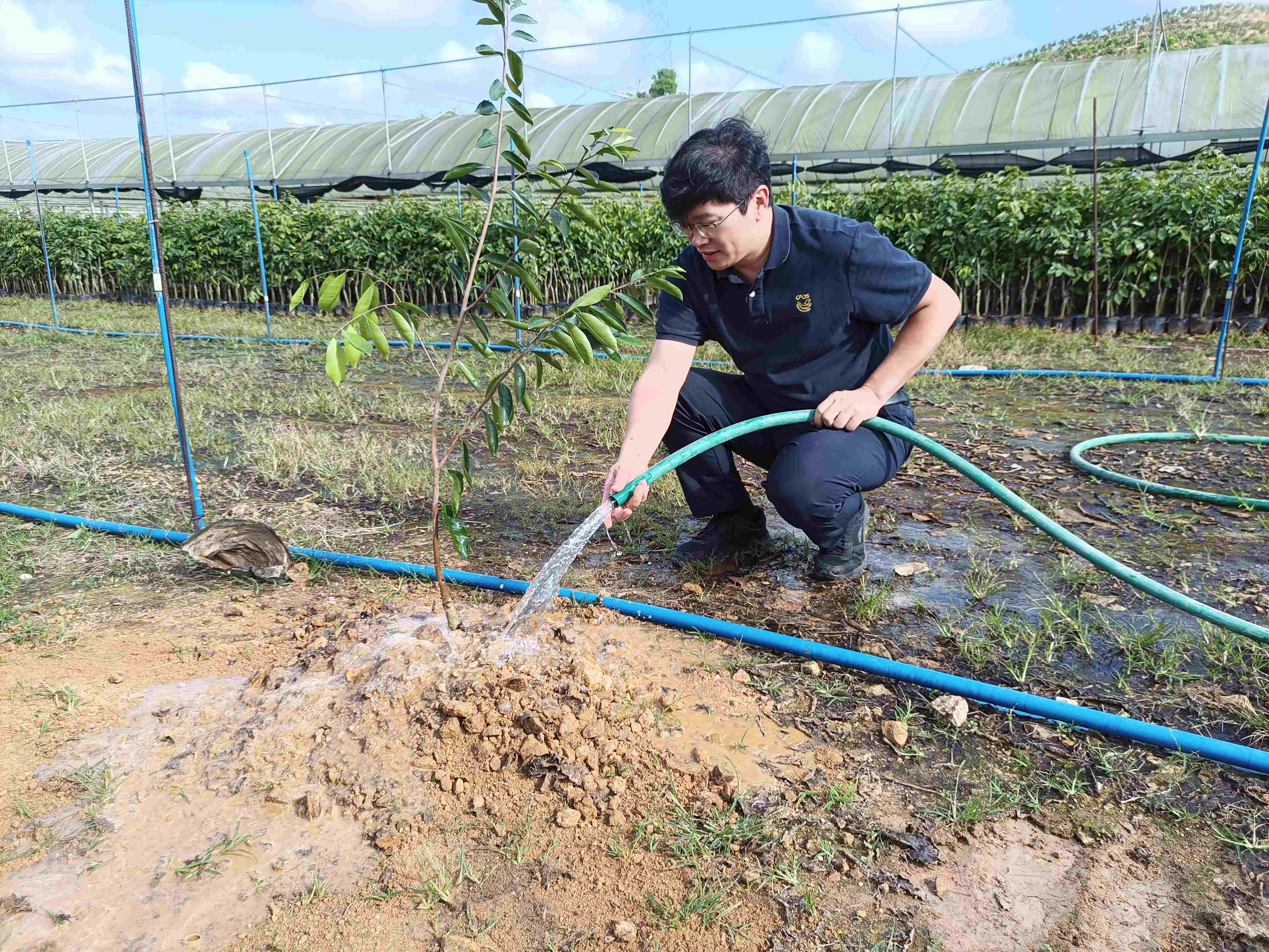 1705886319232395.jpg 1705886319232395.jpg