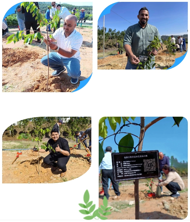 1732862192805892.png 1732862192805892.png